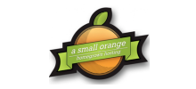 A Small Orange